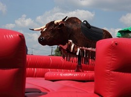 Bull Rental Akron Canton